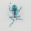 DFA 2: Héphaistos